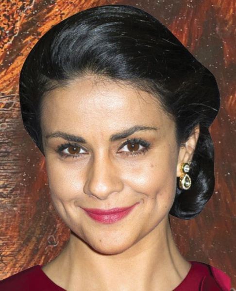 Gul Panag